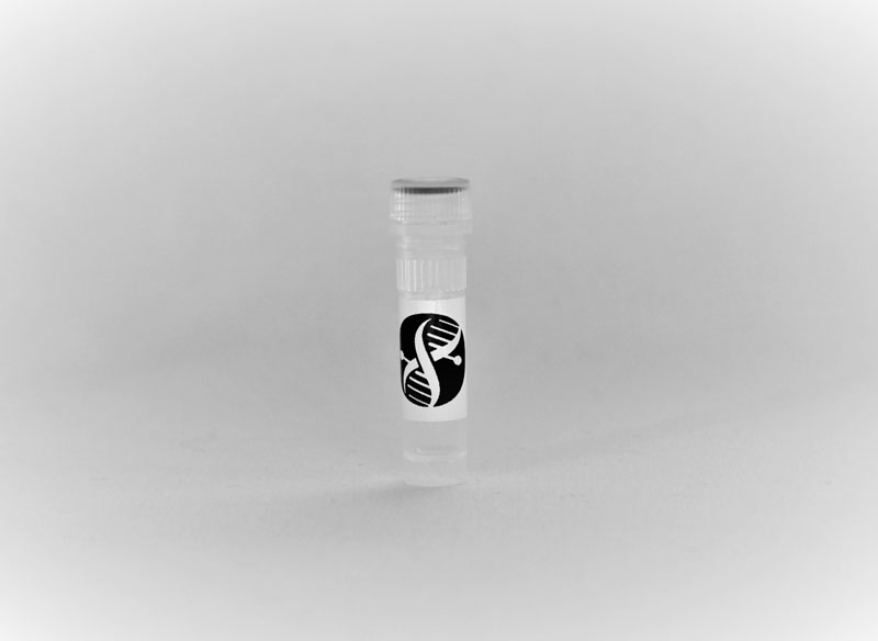 nCoV qPCR Primers & Probes N1