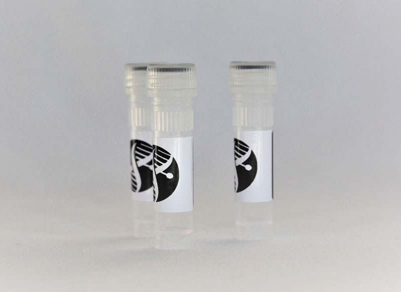 nCoV qPCR Primers & Probes N2