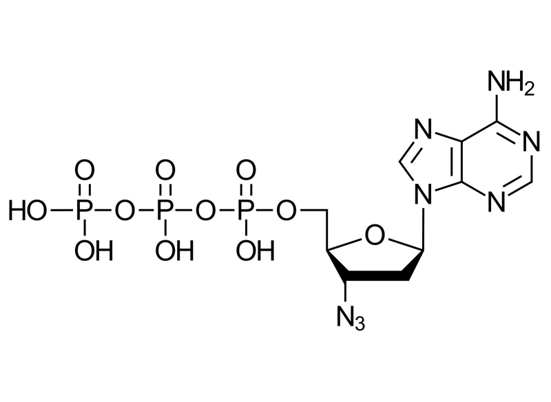 3′-Azido-ddATP 0.5 µmol  BCT-25-S